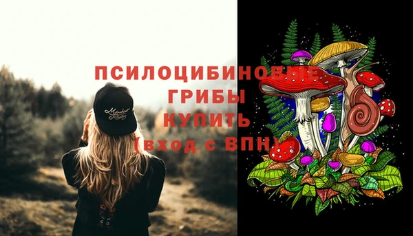 ПСИЛОЦИБИНОВЫЕ ГРИБЫ Верхнеуральск